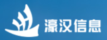 江苏濠汉信息技术有限公司图标